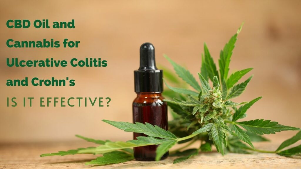 CBD Oil for Ulcerative Colitis